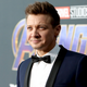 Illustration for article titled Jeremy Renner Looks Like a Portobello Mushroom: An Oral History